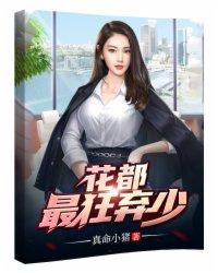 我的极品老婆电视剧分剧集介绍