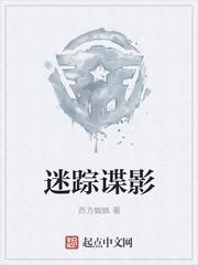 迷踪谍影怎么断更了