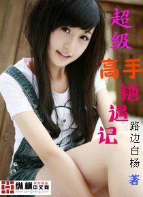 超级高手艳遇记 少主