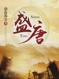 盛唐奇案免费观看全集