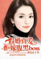 假婚真爱书籍正版包邮