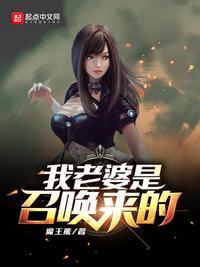 穿越之召唤老婆系统