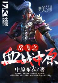 岳飞之血战中原百度百科