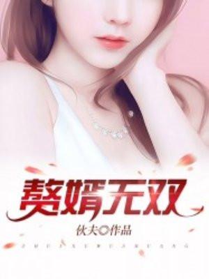 赘婿无双电视剧上映时间