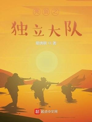 亮剑之独立大队全集