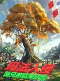 玛法传奇游戏介绍