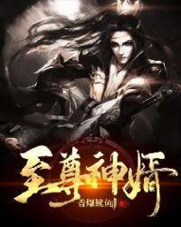 至尊神婿十六集