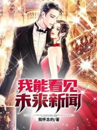 我能看见未来新闻杨辰免费阅读