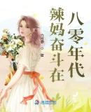 奋斗在八零年代 银河祁