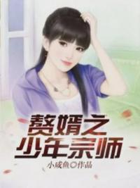 赘婿林枫动漫