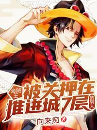 海贼王推进城副看守长