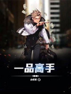 一品高手是什么境界
