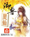 御兽灵仙讲什么