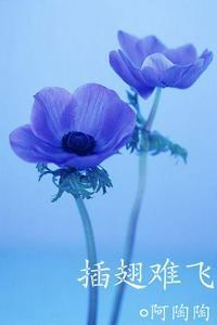 沈初云陆进医院是第几章