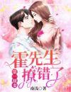 第一甜妻霍先生撩错了介绍
