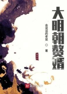 大明赘婿类似
