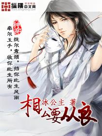 相公从了本帅TXT