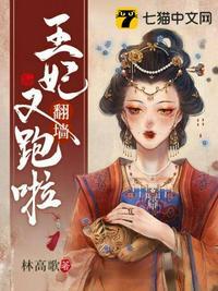 王妃又爬墙跑了