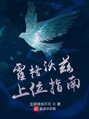 霍格沃兹上位指南女主