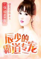 辰少的霸道专宠强婚88次 未删减版