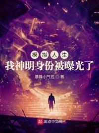 模拟人生之神txt