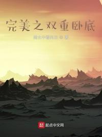 完美之双重卧底笔趣阁