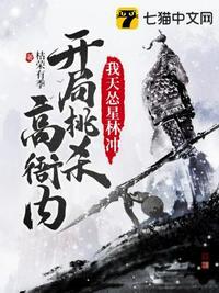 我天怂星林冲开局挑杀高衙内TXT免费