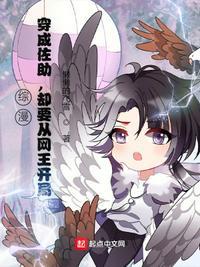 穿越成佐助一口气看完