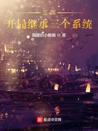 三国开局继承三个系统