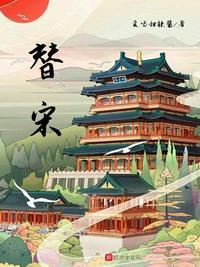 替宋孔彦舟