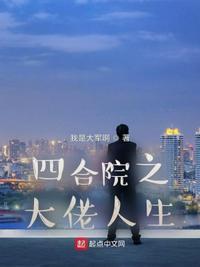 四合院之大佬人生动漫视频