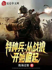 主角叫陈凡特种兵