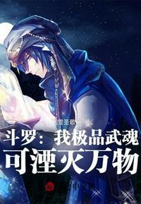 穿越斗罗武魂极致之光