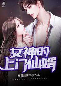 女神的上门婿贵