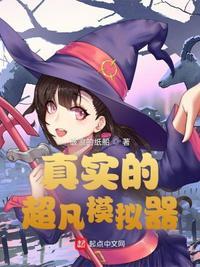 超凡先锋国际模拟器