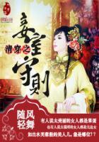 清穿之妾室守则怎么样