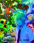 宠物小精灵之流清txt