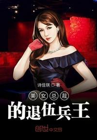 美女总裁兵王林峰