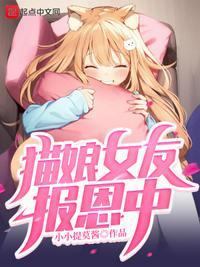 猫娘女仆游戏