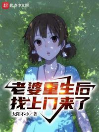 老婆重生后找上门来了作者太阳不小