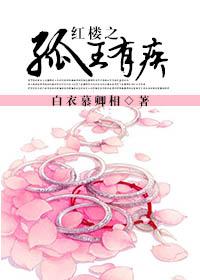 红楼之狐狸