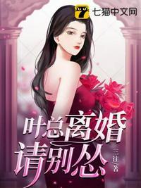 叶总离婚请别怂正版阅读