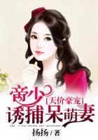 天价豪宠 帝少诱捕呆萌妻