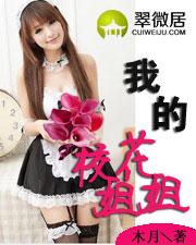 我的校花姐姐续写
