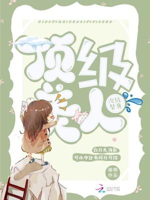 顶级美人次级替身免费阅读晋江