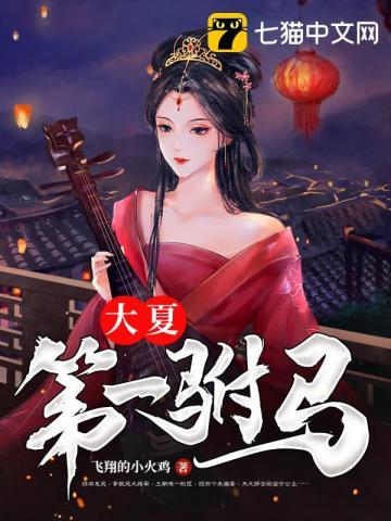 大夏第一驸马爷短剧