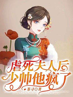 少帅他疯了!短剧