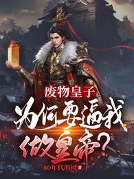 大夏国九皇子完整版免费阅读