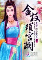 宫锁珠帘金枝和贞儿