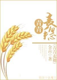 穿越之青麦穗金垚 章节